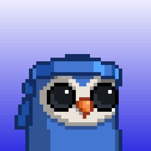 zkBirds tweet media
