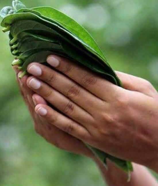 As I look back &amp; reflect I'm humbled by the range of experiences the last year threw at me. After covid we were hit by a double whammy - The  economic melt down of 2022! It was a struggle but we made it &amp; I'm here: Stronger &amp; wiser...I hope you are too. Happy Holidays  to all !