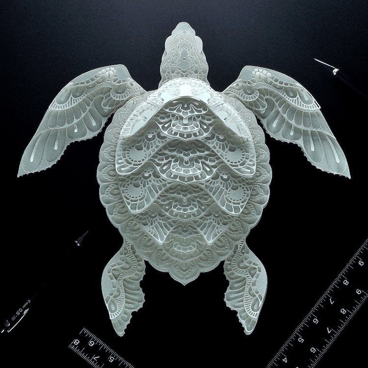 Foolpro44614609's tweet photo. @ivanik_oksana Patrick Cabral creates 3-dimensional paper portraits of endangered animals https://t.co/CpUX3qtfaU