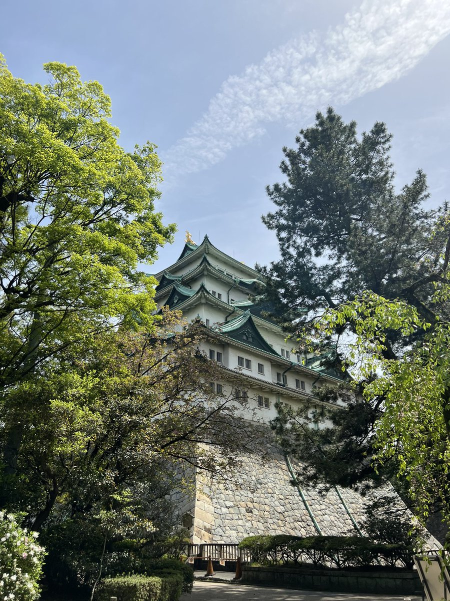 cheese___please's tweet photo. 名古屋 https://t.co/nSUdk94GKy