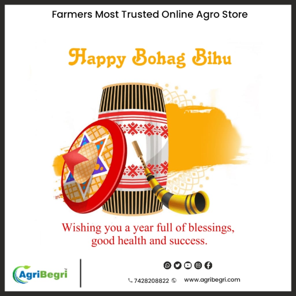 AgriBegri's tweet image. #Bihu #helpingfarmers #agrostore