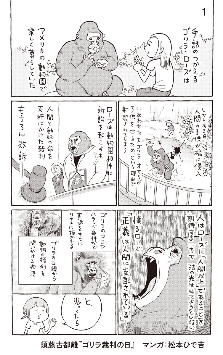 『ゴリラ裁判の日』が、
「ダ・ヴィンチ」2023年5月号で「今月のプラチナ本」に選出されております🦍
#松本ひで吉 先生の「あらすじコミック」をどうぞ!
#漫画が読めるハッシュタグ #小説紹介 #読書 #ゴリラも悩んでいるんです
PVや「試し読み」は、こちらです!
https://t.co/d3mFpUfxC2