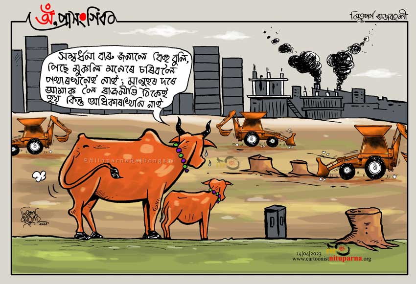 #Bihu #rongalibihu #assam cartoonistnituparna.org