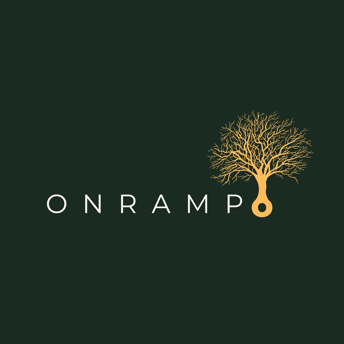 OnrampBitcoin's tweet photo. Announcing: Onramp Bitcoin

When high net worth individuals and institutions decide to add #Bitcoin  exposure to their portfolio, they face a problem: how?

Get exposure via a crummy fund vehicle?
Buy actual bitcoin and leave it on an exchange?
Take on self-custody? https://t.co/lXgAGKDYIK