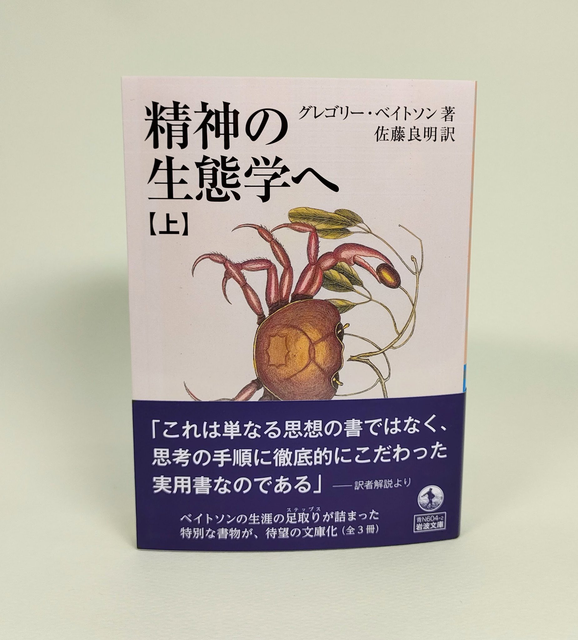 精神の生態学  G ベイトソン  佐藤良明訳 精神の生態学(G.ベイトソン 著 ; 佐藤良明 訳) / 大山堂書店