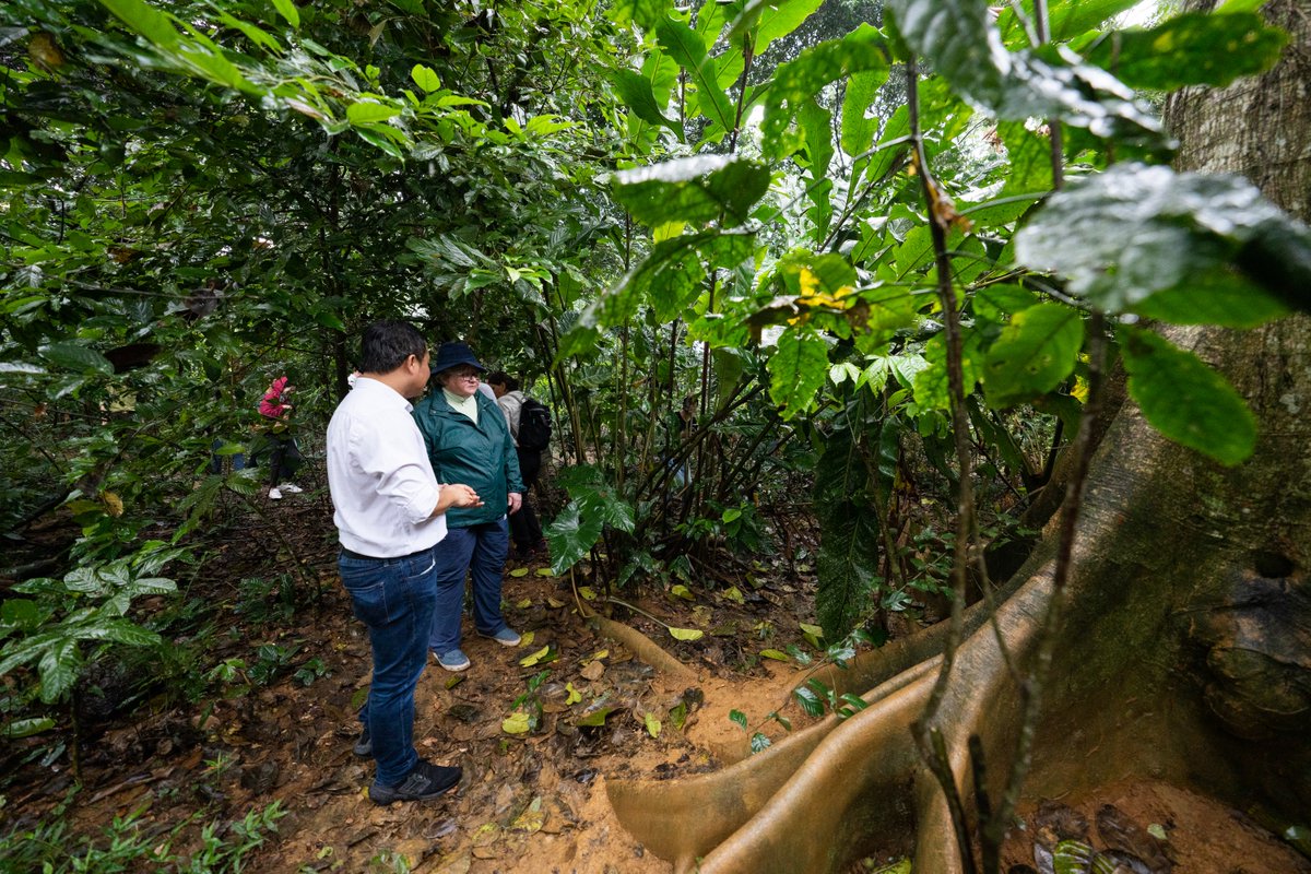 UK in Viet Nam🇬🇧🇻🇳 (@ukinvietnam) on Twitter photo During <a href="/theresecoffey/">Thérèse Coffey</a> visit to Cuc Phuong National Park, she met <a href="/SVWpage/">Save Vietnam's Wildlife (SVW)</a> & learn about challenges & opportunities of tackling illegal wildlife trade in 🇻🇳.
SVW has also been awarded £1m by <a href="/DefraGovUK/">Defra UK</a> IWT Challenge Fund for project on dismantling illegal pangolin trade in 🇻🇳. During <a href="/theresecoffey/">Thérèse Coffey</a> visit to Cuc Phuong National Park, she met <a href="/SVWpage/">Save Vietnam's Wildlife (SVW)</a> & learn about challenges & opportunities of tackling illegal wildlife trade in 🇻🇳.
SVW has also been awarded £1m by <a href="/DefraGovUK/">Defra UK</a> IWT Challenge Fund for project on dismantling illegal pangolin trade in 🇻🇳.