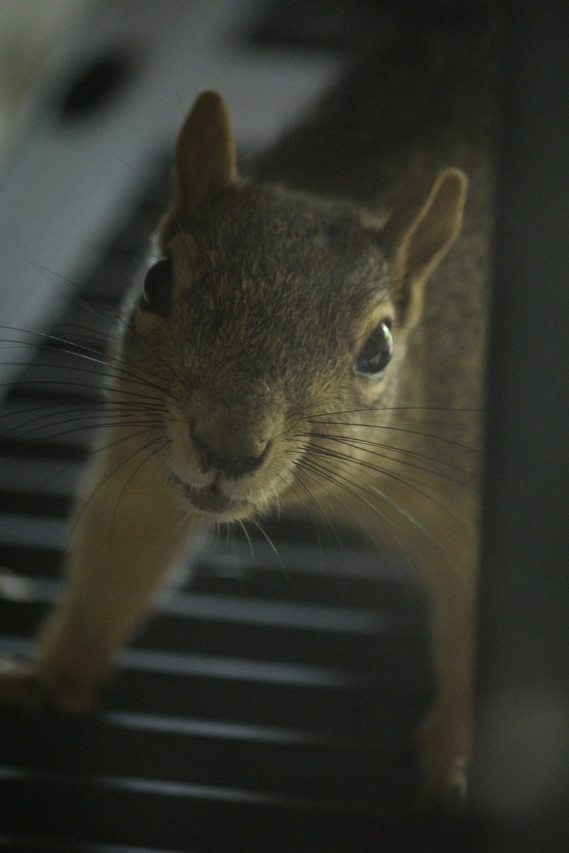 Mark Nau (@mark_nau) on Twitter photo 