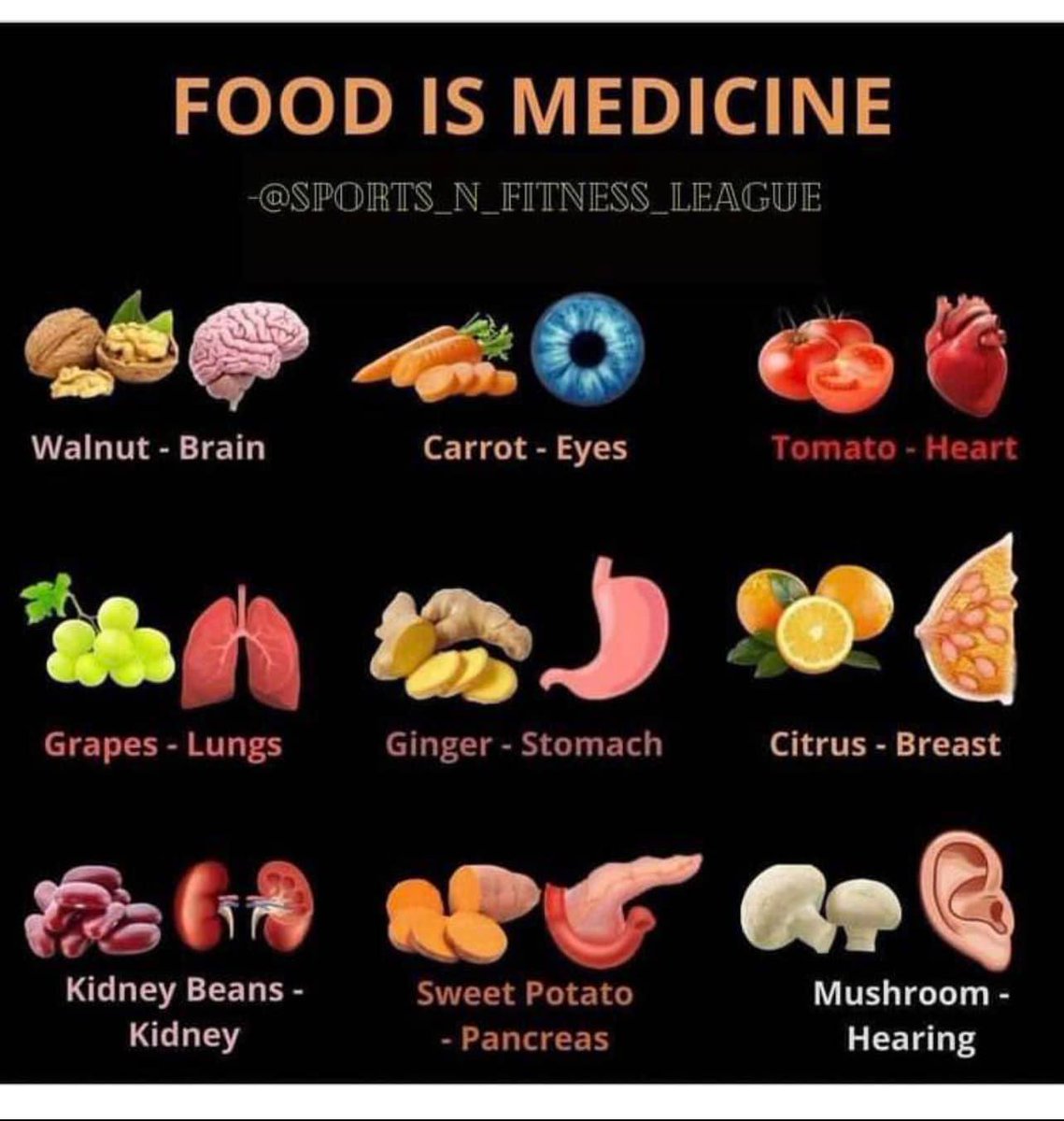 Organic Live Food on Twitter "All Disease Begins in the Gut 👇 A