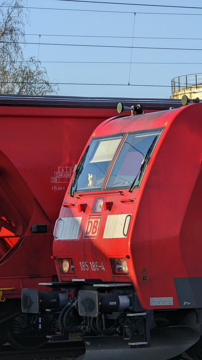 m4tz34's tweet photo. Na... Den kennen wir doch 😁
@SJorczik ? https://t.co/xaZPSdxNKM
