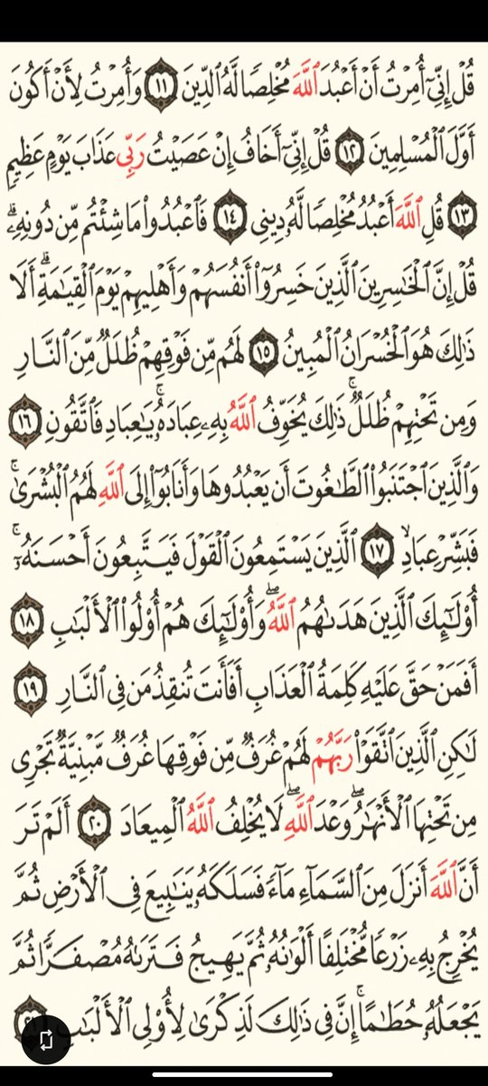 hai__rei's tweet photo. رتوتوا❤️ https://t.co/gxKWzmWYGf
