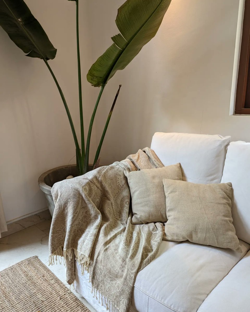 kcsshop_in's tweet image. Classic ivory throw - adding that elegant touch to every corner. How do you prefer to style your sofa? 

#homedecor #sofathrow #paisley #homedesign