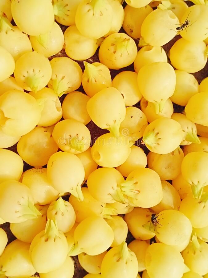 क्या आप इस रसायन फल का नाम जानते हैं ?????