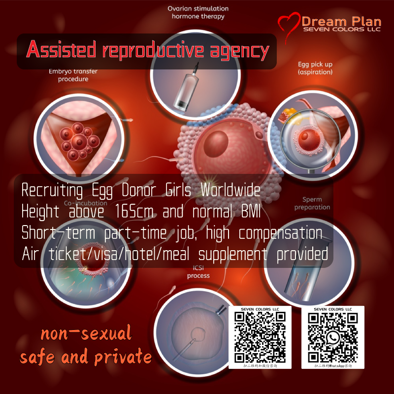 Brightb07040601's tweet photo. Seven Colors LLC is an IVF asisted reproductive agency. We have brought the hope of "birth" to many families with difficult fertility, but some families urgently need donated eggs to realize it. Girls who are willing to participate are welcome!#eggdonation #eggdonors https://t.co/UmyvTANbyx