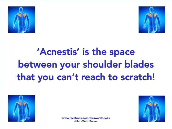 TaraWardBooks's tweet photo. Another #AmazingWord for #FunFactFriday: the rare word #Acnestis! It comes from #AncientGreek 'knestis' meaning shoulder blades and the earliest known written use was in the mid 18th century by English physician #RobertJames ... https://t.co/1Jz6S3TB6O