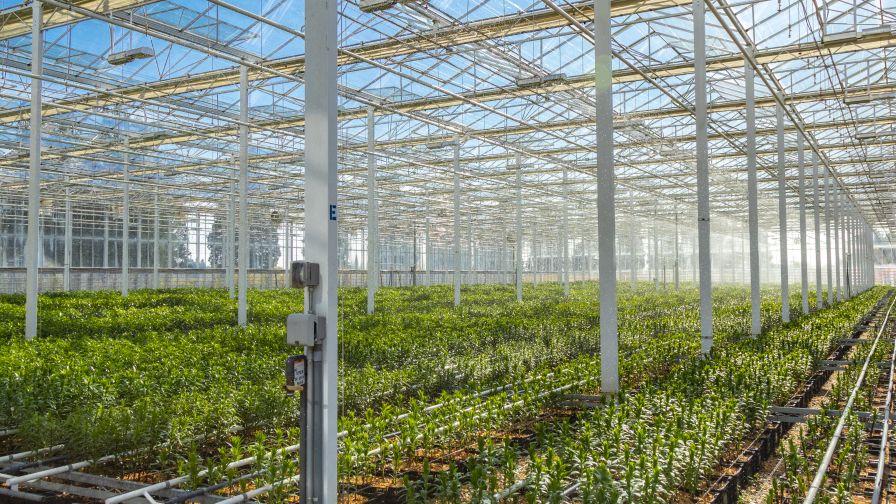 Picture: Hortica

Managing a horticultural enterprise is not any simple feat. From guaranteeing your prospects are joyful to sustaining your property and balancing commitments to workers, there’s lots to take care of. #Greenhouse #greenhouseeffect

kninfocare.com/9-steps-to-mak…