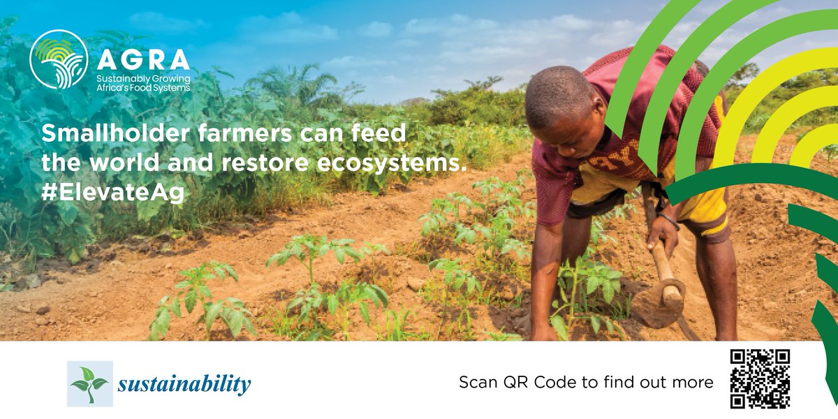 AGRA_Africa's tweet photo. Smallholder farmers can feed the world while restoring ecosystems.
Now more than ever, shifting from intensification to an outcome approach is needed. A recently published journal by our team has insights.
Get a copy on https://t.co/ChT6p4aC5m.
#ElevateAg https://t.co/0Rcjs4iciW