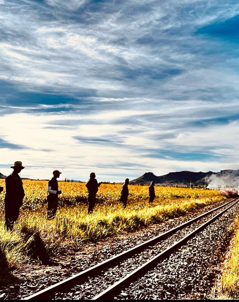 dabbumali's tweet photo. 🚂🔥 #Indian2 update:
👉 #KamalHaasan in Johannesburg filming a British Period Train Action Sequence! 🎥
👉 The train is packed with people in period look, making for a massive scale scene. 👌
👉 Get ready for the action! 🤙
#SouthAfricaShoot #TrainAction 💥 https://t.co/TvRfLKOciT