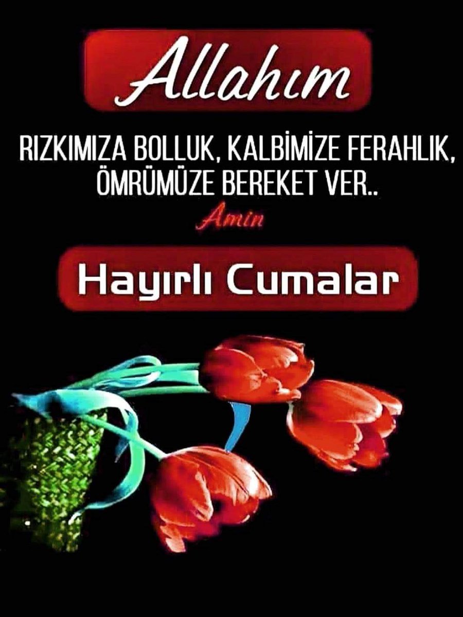 Gencerküçükada tweet media