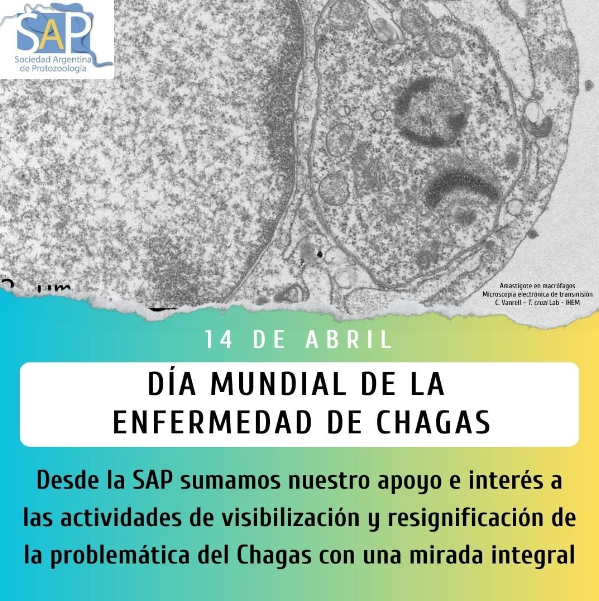 14 de Abril #DiaMundialChagas.