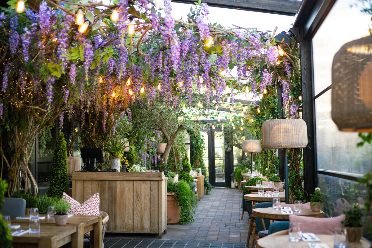 FIRST LOOK: One of Cork’s best cocktail terraces has had a fabulous floral makeover. We had a peek inside before it opens today 😍👀 bit.ly/43sooiV