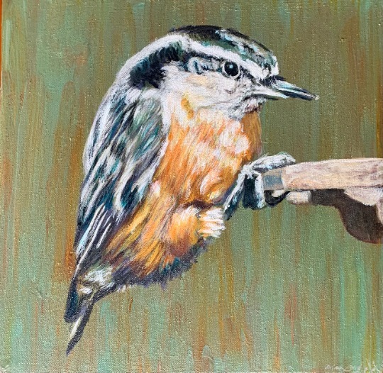 Hanging on
By Brian Longfield
Acrylic on Canvas
12”x12”
2021

etsy.me/3yRDT6R
(or link in bio)

#artistsoninstagram #art #contemporarypainting #winnipegart #birdart #winnipegartist #winnipegartscene #bird #birds #artist #artistprocess #painting … instagr.am/p/CrA9MN6BdUb/