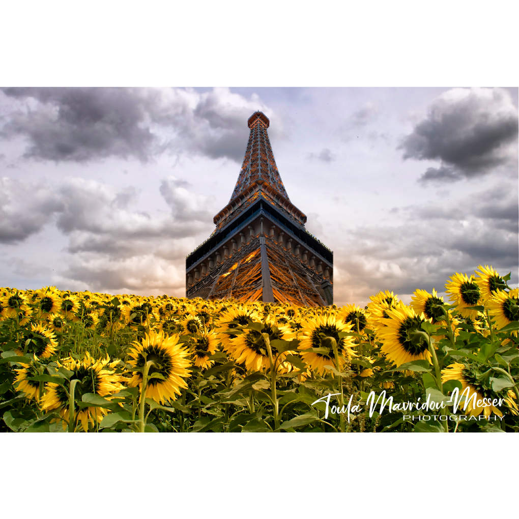 @SiKImagery So sorry to hear that. I wonder how many of us have #hiddenillness. I have severe complex #PTSD, which is why I love #photography and #writing #books.  Here's my #FridayFreeForAll - another attempt at a composite!

#naturephotography #composite #sunflowers #eiffeltower #LasVegas