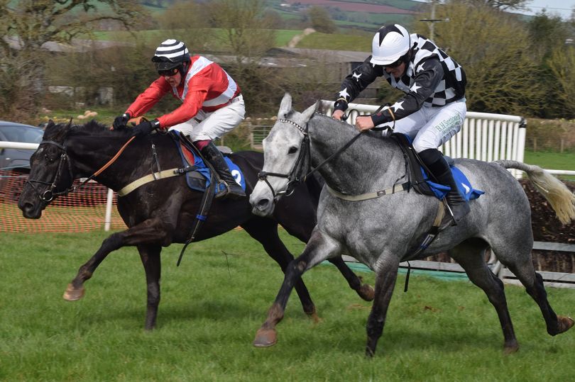 Three out of seven ain't bad! 🤣🏆🥇 Jockey @Joshua_N3wman lands quick-fire treble at Silverton point-to-point 👉 devonlive.com/sport/other-sp… @PointingDC @Point2PointAuth @GoPointing @ExeterRaces @THEPPORA #Devon #Dunsmore #gopointing #horseracing #letsgoracing #roadtoumberleigh