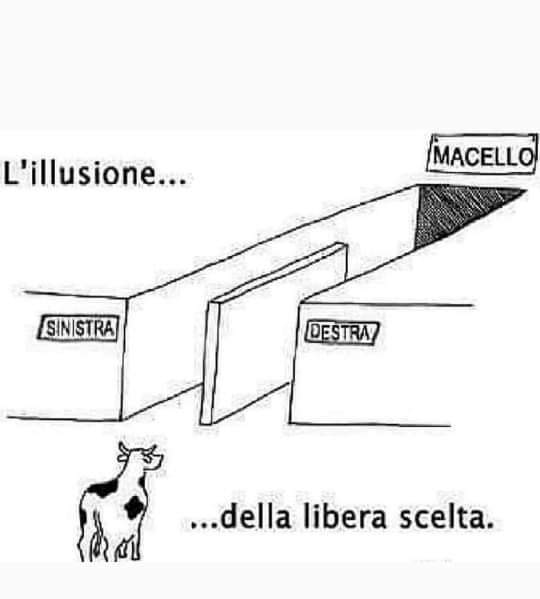 Florian98168458's tweet photo. Si comprende o no?! https://t.co/OFyiqpDhlZ