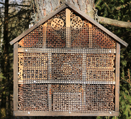 Trends can be fun. Trends can also be wolves in sheep’s clothing. One of the latest trends plays on our desire to help pollinators. Bee hotels. Learn more on today's Garden Bite.
gardenbite.com/trendy-bee-hot…