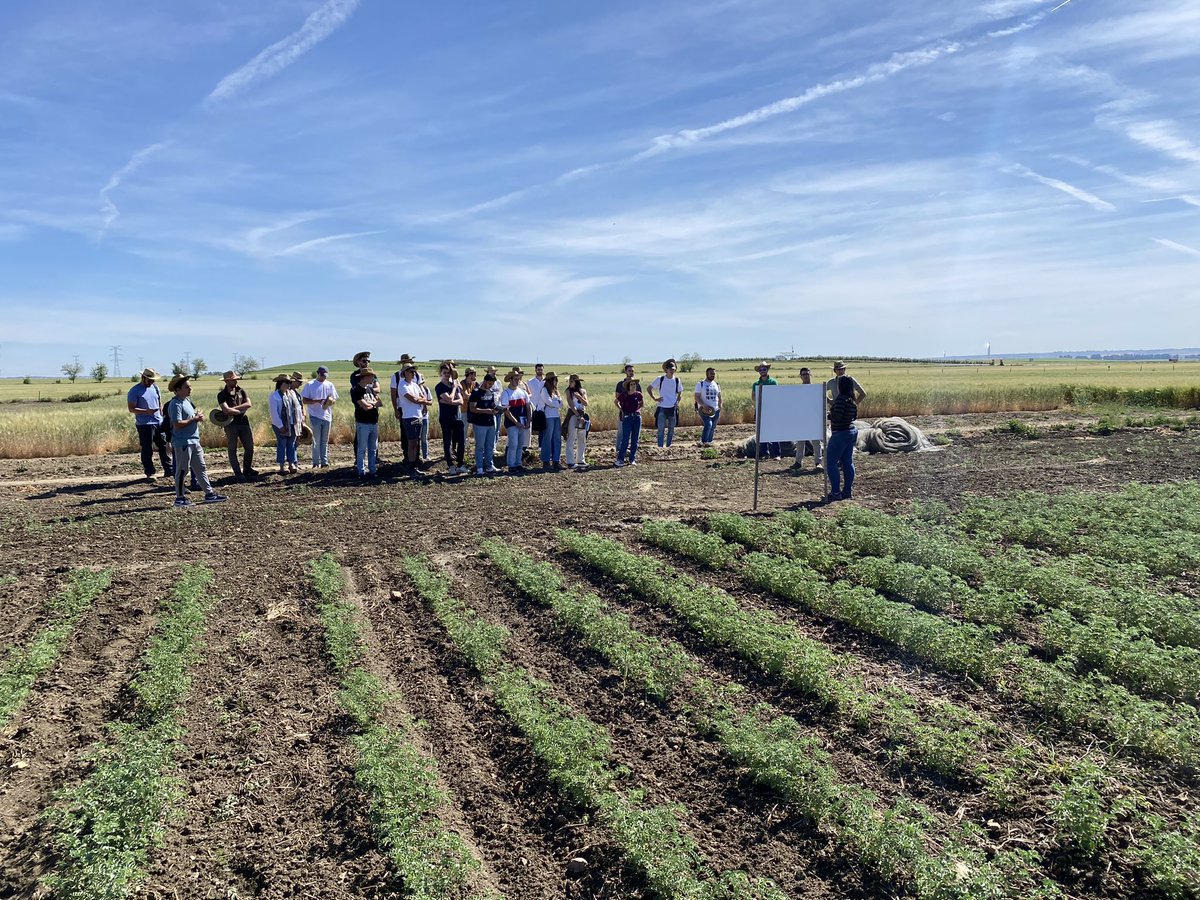 Los futuros ingenieros agrónomos de la <a href="/ETSIAMCordoba/">ETSIAM - Universidad de Córdoba</a> han visitado hoy los ensayos de selección de nuevas variedades de cereal y leguminosas de <a href="/AgrovegetalSA/">Agrovegetal SA</a> en #CampodeTejada