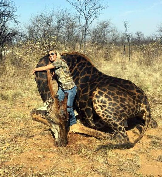 In 2017, Tess Talley shared photos of her South Africa hunt with the caption “Prayers for my once in a lifetime dream hunt came true today!”

@RickyGervais replied in his usual excellent cutting way with ~ "What's 16 feet tall and has a cunt on the back of its neck?". 👏👏

End