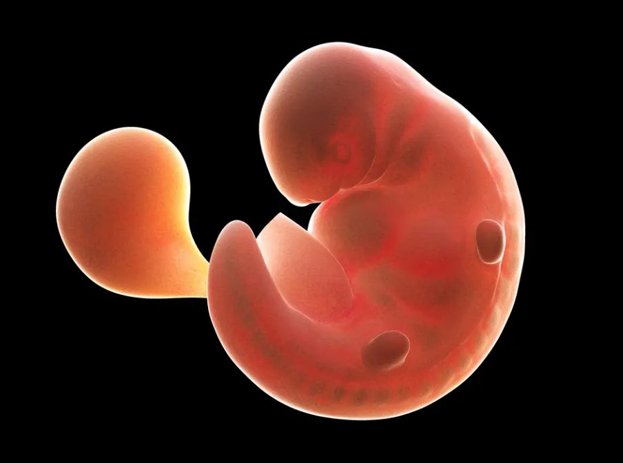 Ed Krassenstein tweet media