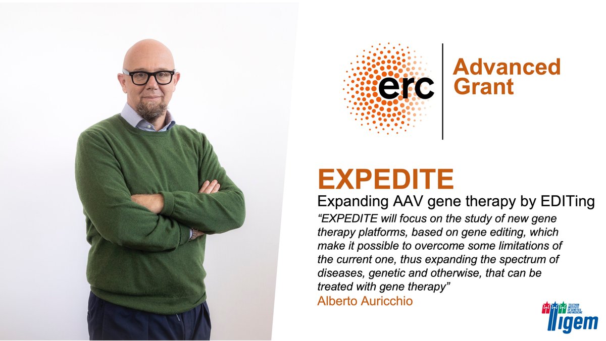 Tigem_Telethon's tweet photo. ⚖️ PreDoctoral and PostDoctoral positions in
@ERC_research Advanced granted project in the lab of Alberto Auricchio at Telethon Institute of Genetics and Medicine -TIGEM🇮🇹
More info about the lab here👇
https://t.co/RlAGffgAKZ
#careers #jobsearch #research #EUfunded #postdocjobs https://t.co/elMWroFLyp
