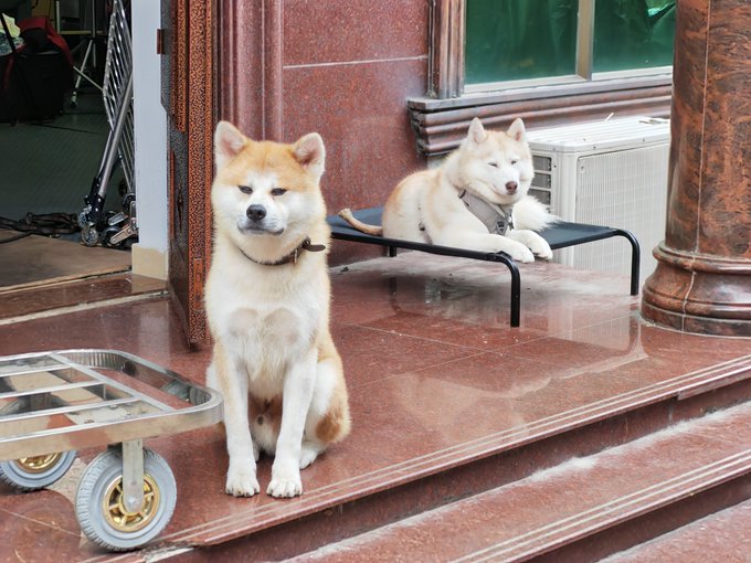 Yo my boy Facai would fuck your robot up you came up on his sister Momo like that. https://t.co/yuqK