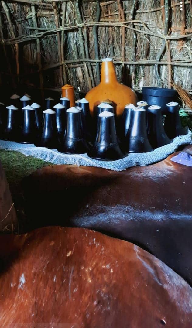 NduhukireW's tweet photo. Never miss this place whenever you visit Ankole cattle farm! U will thank me after your visit!
#ankolecattle
#destinationankole
#ExploreWest https://t.co/tBnGlIl3qD