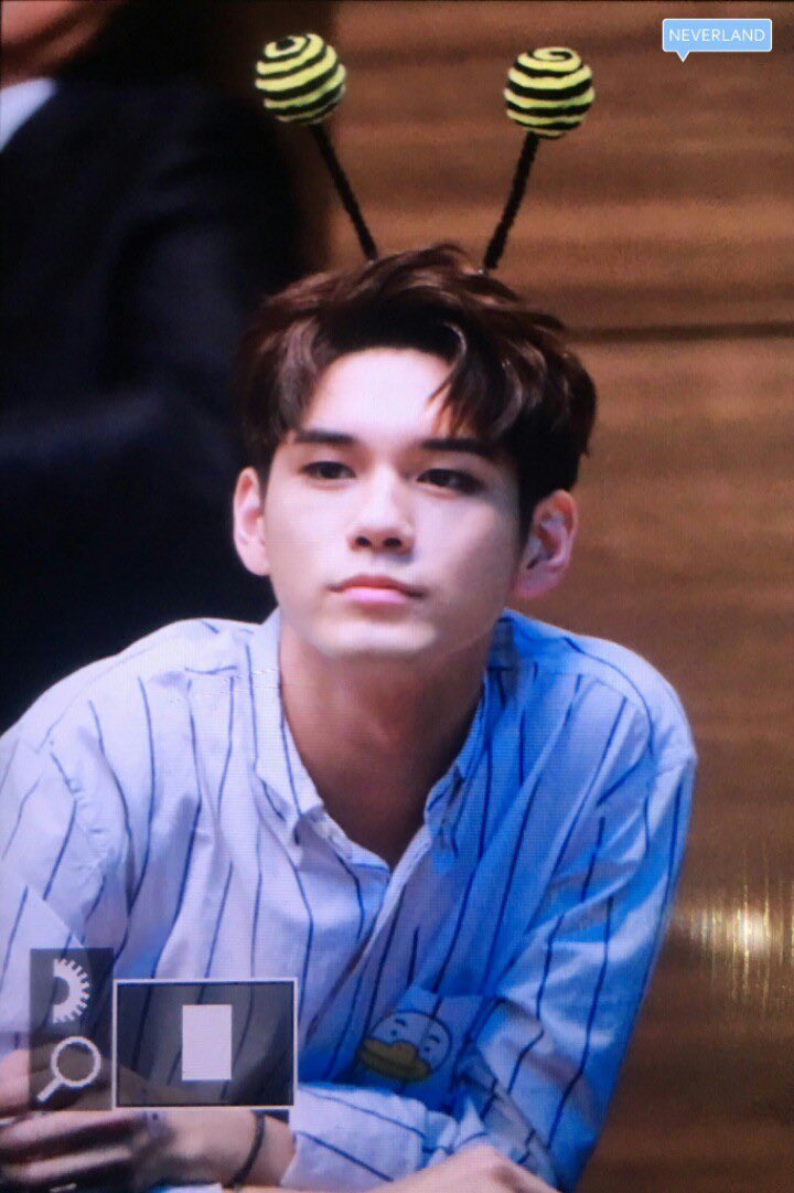 이거 같아요🐝