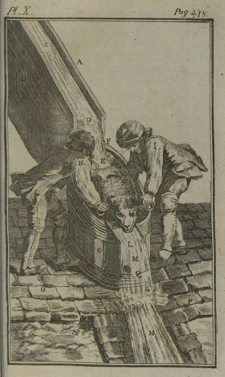 How are sheep washing, letters to Washington and course selection related? I wrote a blog about the role of students and their ambitions regarding the formation of the cameral sciences for Café Lumières: 
cafelumieres.voltaire.ox.ac.uk/students-disci…