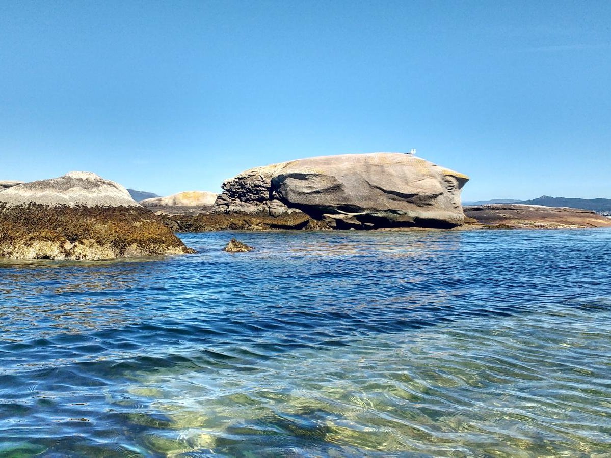 iviewpoint tweet media