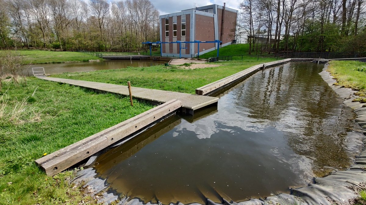 JPKalkman's tweet photo. Vrijdag vistrap dag! #fishladder nagekeken en afgesteld 👍 https://t.co/rEZbFkLCGE