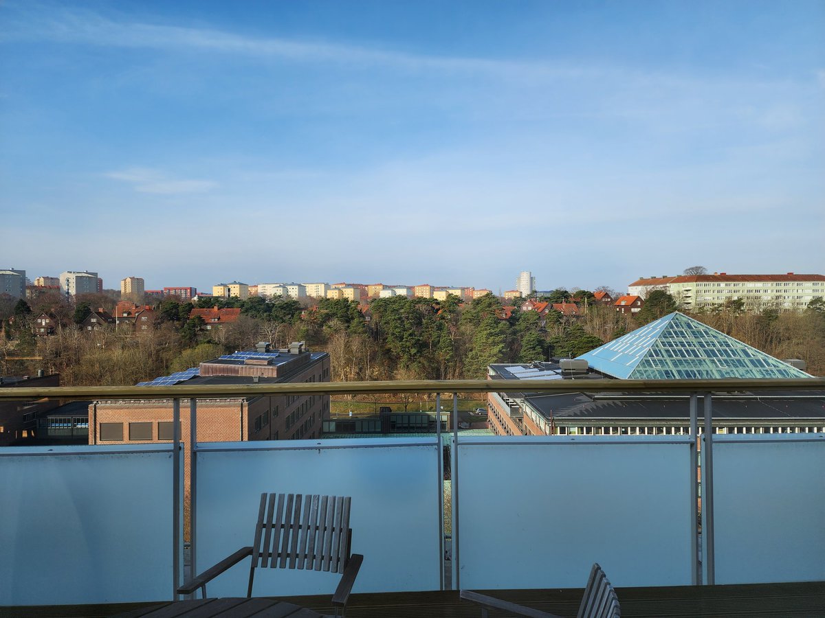 I got up in the morning and my only reward were some cool shadows