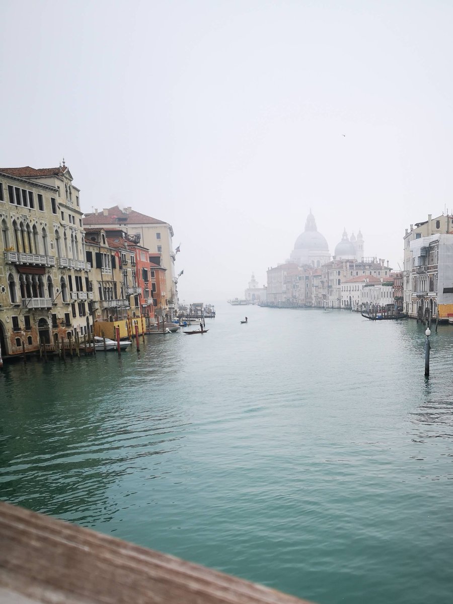 Good morning, still raining and cold in #Venice: a strange April! / Buongiorno, ancora pioggia e freddo a #Venezia: uno strano aprile!

#eredijovon #베니스 #venicephotos #venicecolors #venicecanals #veniceitaly #slowvenice