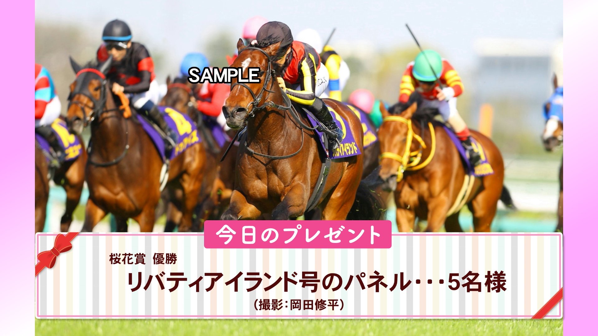 競馬.リバティアイランド.パネル.競馬ブック.トリプルクラウン 頭絡