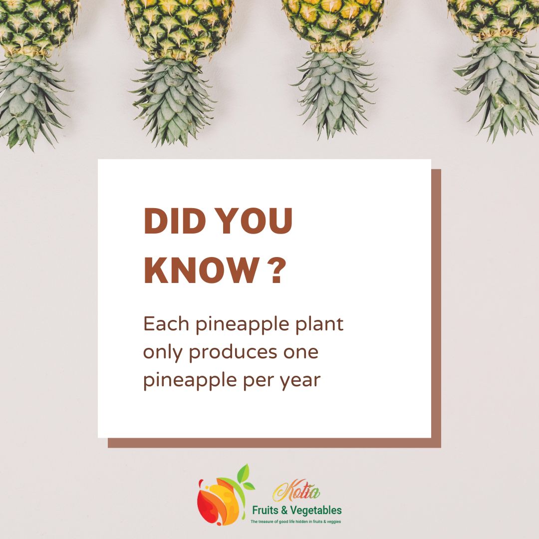 KotiaOffical's tweet photo. Did you know it takes a patient farmer to grow a juicy pineapple? Savor the sweetness and appreciate the hard work that goes into every tropical treat. #pineapplelove #patiencepaysoff #flavorfulfruit #pineapplefacts https://t.co/Ig4W2c5JPD