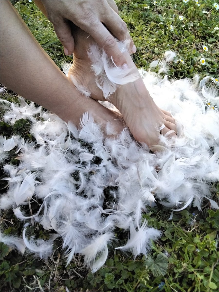Minamia87605057's tweet photo. Piume https://t.co/t7HhyJq8td
#barefeet #piume #feet #fetish https://t.co/X7ABVB2DwQ