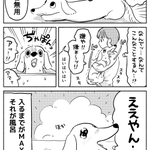 嫌がっていたのに、お風呂に入った途端･･･!愛犬の入浴の様子を描いた可愛すぎる「犬漫画」!