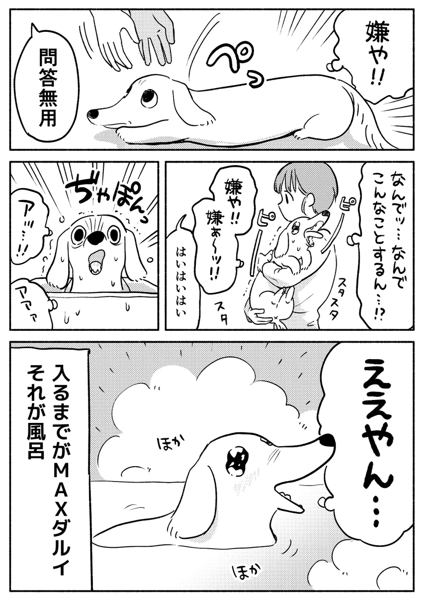 嫌がっていたのに、お風呂に入った途端･･･！愛犬の入浴の様子を描いた可愛すぎる「犬漫画」！