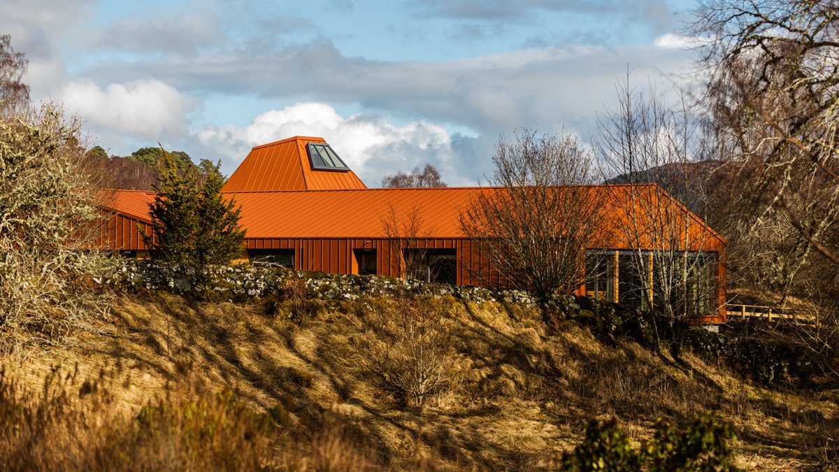 Rewilding Britain tweet media