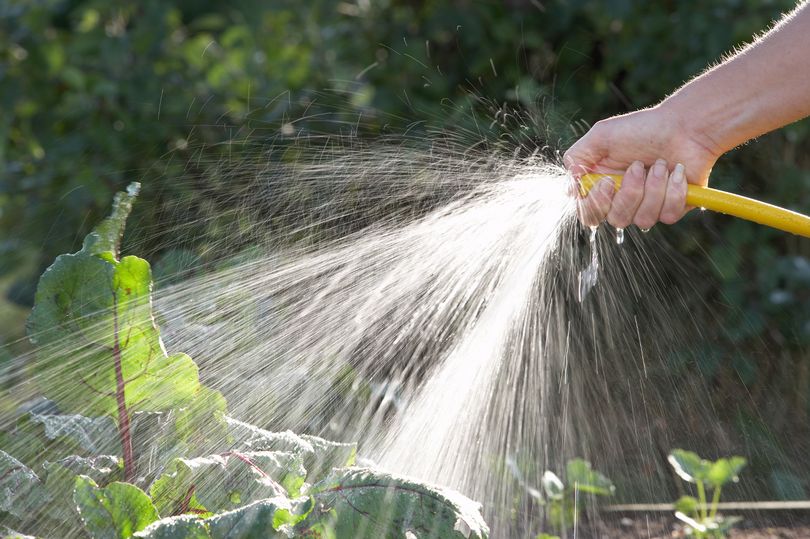 Summer is on the way..... Automated irrigation linked to predictive weather forecasting can take care of another mundane task. Save water by controlling where and for how long areas are watered. Based on previous and future rainfall, the system can pause to let nature take care…