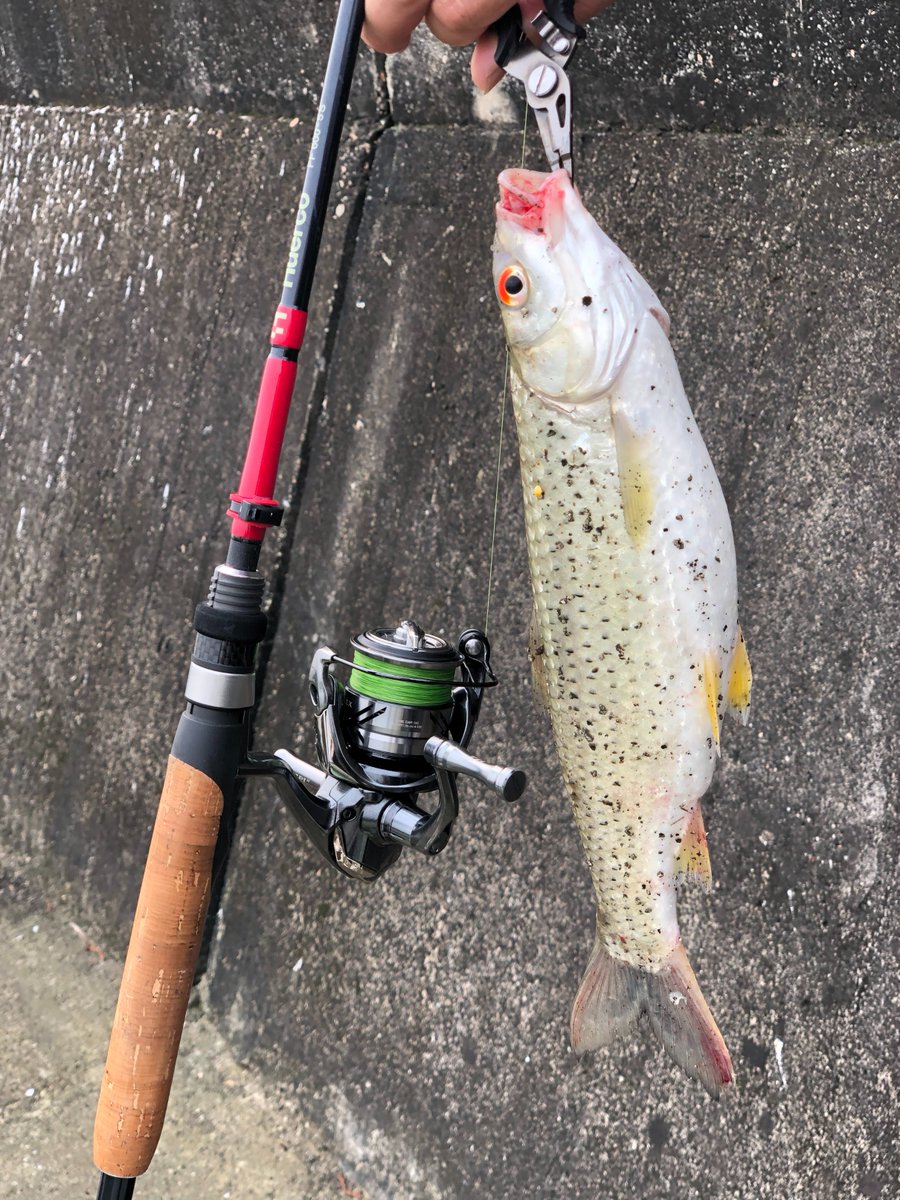 onefisherman2's tweet image. 