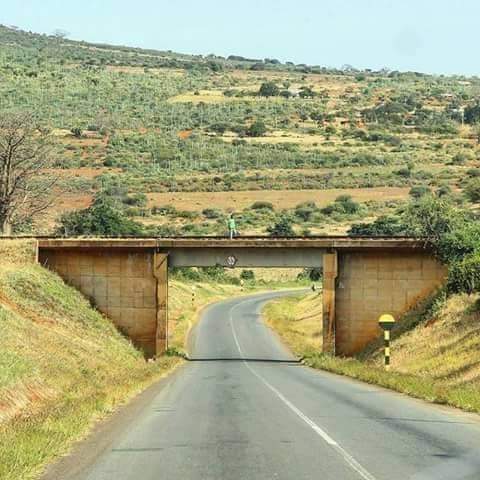 Thara tweet media